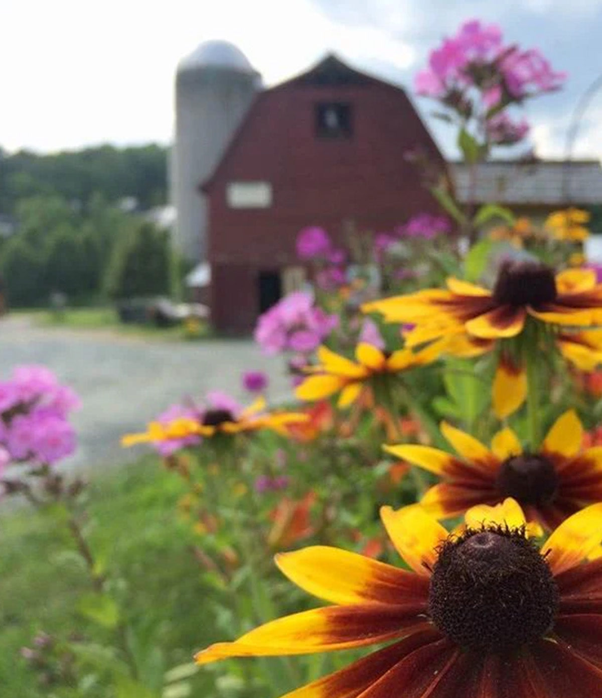 VERMONT LIP BALM